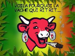 ba ouai jmen douter en + !!!!!!!!!!!!!