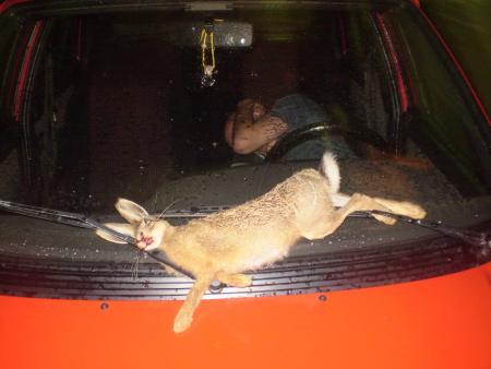Jojo et son Lapin ki font un some !!!!!!